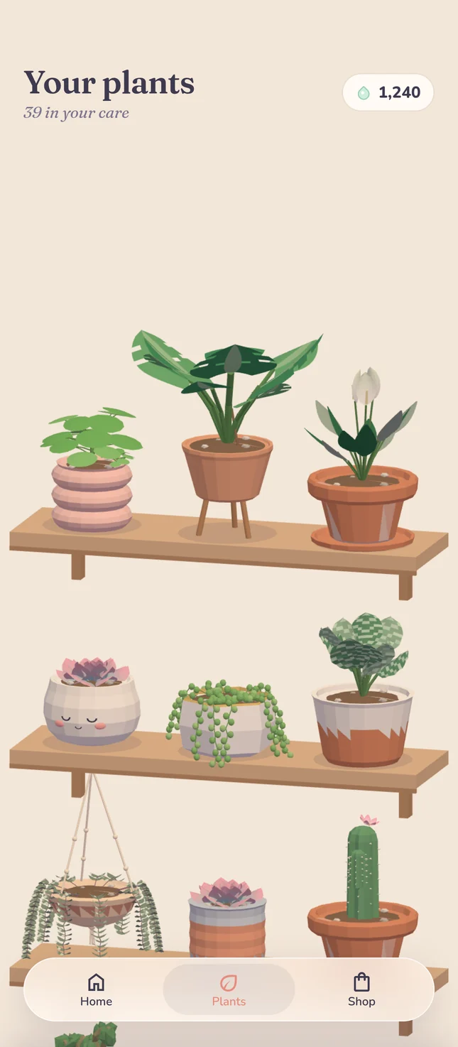 A wall of shelves holding every plant in your collection, from pothos to cactus