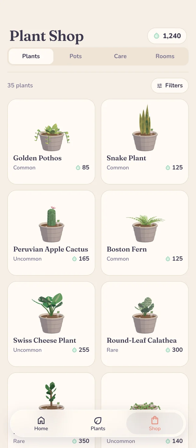 The plant shop: golden pothos, snake plant, apple cactus, Boston fern